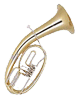 Tenorhorn